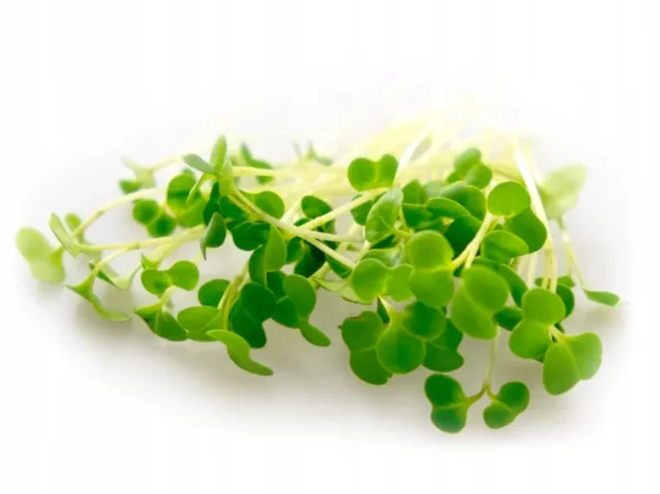 5e8c353e862d2932a6089964cead179f