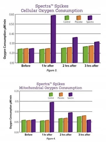 911074ab2ebe6f07ad1b519c21f8dae4.webp acb3f16e43b50bc776a0eea666d1a538