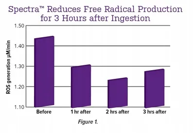 cd427928f3ff76ca4ee5d481d3e0dd66.webp 4f7219a87dbc3ebaa55440c9ef12265f