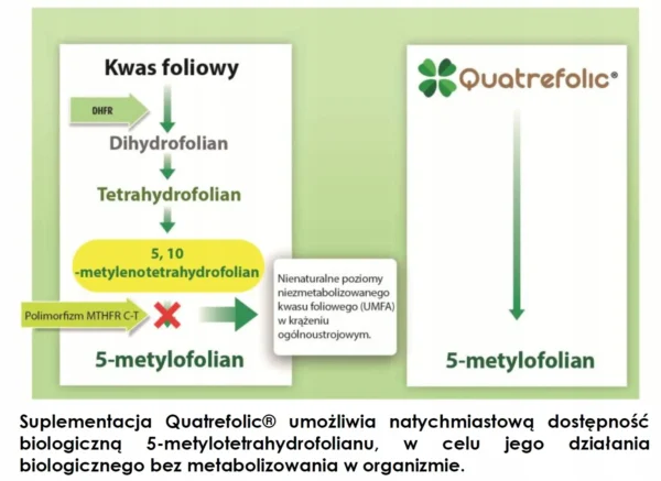 1cb8b008c139817e29877ab8a447eceb